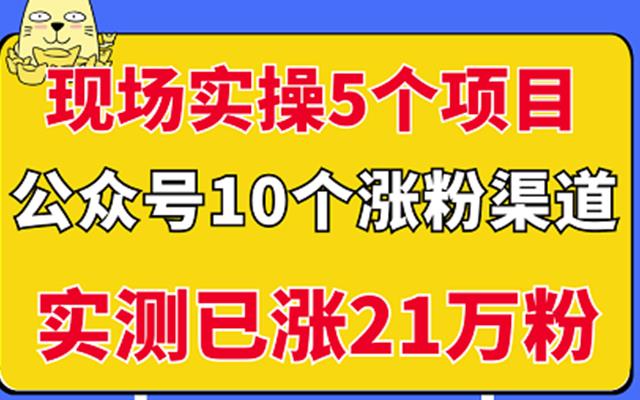 百家最新搬运玩法，单号月入5000+【揭秘】