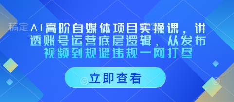 TikTok玄学命理跨境出海双语掘金课，手把手教你用命理知识精准直击海外用户痛点