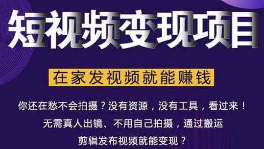 随风短视频变现项目：从0到1教你打造爆款短视频变现，在家发视频就能赚钱