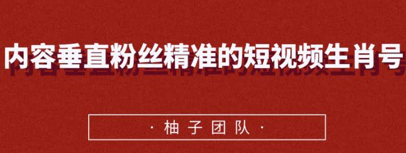 内容垂直粉丝精准的短视频生肖号，小众领域简单操作月入10000+【视频课程】