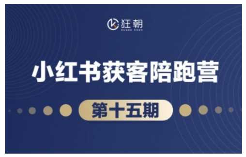 抖音小红书视频号短视频带货与直播变现,打造爆款内容，实现高效变现